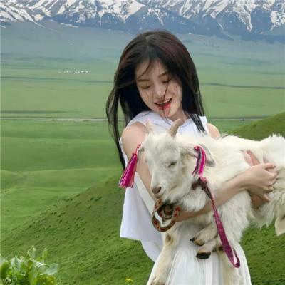 超级无敌掌门狗：月球野餐记